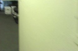 'Dude, I Fucked A Midget!' screenshot nº 6