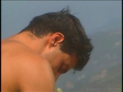 'Pets' screenshot nº 5