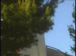'Pets' screenshot nº 53