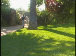'Pets' screenshot nº 54
