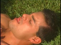 'Pets' screenshot nº 2