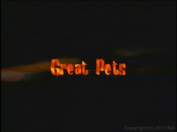'Pets' screenshot nº 26
