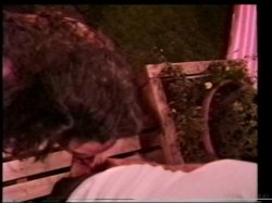 Captura de 'Mondo Extreme 12: Giant Swinger's Orgy' nº 26