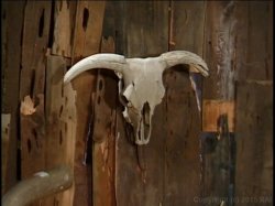 'Haunted Tails' screenshot nº 41