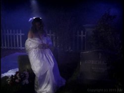 'Haunted Tails' screenshot nº 43