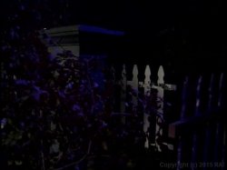 'Haunted Tails' screenshot nº 8