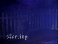 'Haunted Tails' screenshot nº 1