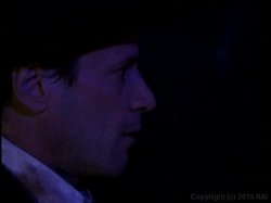 'Haunted Tails' screenshot nº 3