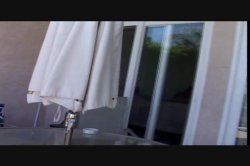 Captura de 'Seymore Butts' Anus Retentus' nº 30