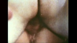 'Swedish Erotica 456 - Swinging With Seka' screenshot nº 19