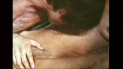 'Swedish Erotica 456 - Swinging With Seka' screenshot nº 6