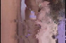 'SchoolGirl Internal' screenshot nº 127