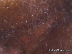 'Hairy Raquel 2' screenshot nº 56