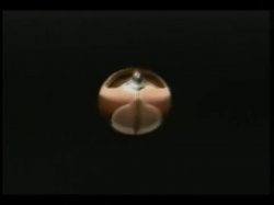 'Love Those Tits' screenshot nº 61