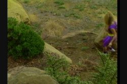'Anal Planet' screenshot nº 34
