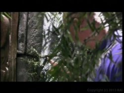 Captura de 'Loose Morals: International' nº 57
