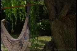 Captura de 'Blow Job Baby' nº 5