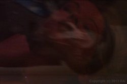 'No Limit' screenshot nº 17