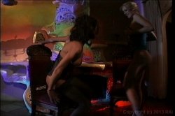 'Kittens 11' screenshot nº 86