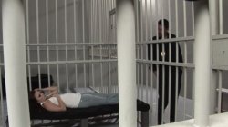 'Voyeur Nation - Caught On Camera' screenshot nº 38