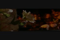 Captura de 'Black Lace' nº 51