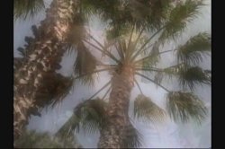 'Anal Abuse' screenshot nº 5