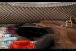 'Mr 18 and the Phantom Bitches' screenshot nº 109