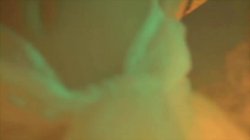 Captura de 'L'Orgie de l'Apocalypse - The Last Shag (French Language)' nº 82