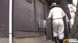 Captura de 'Solo Kitchen Masturbation With Fingers And Food Followed By Blowjob And Mouthful Of Cum' nº 48