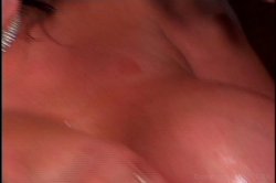 'Hooter Nation' screenshot nº 64