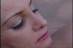 'Hooter Nation' screenshot nº 96