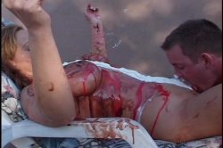 'Hooter Nation' screenshot nº 108