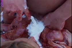 'Hooter Nation' screenshot nº 109
