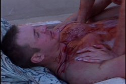 'Hooter Nation' screenshot nº 120