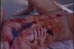 'Hooter Nation' screenshot nº 122