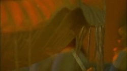 Captura de 'Glazed & Cumfused 8' nº 76