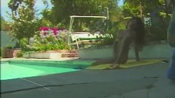 'Wet Dreams 13' screenshot nº 13