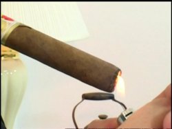 Captura de 'Cumming In America' nº 8