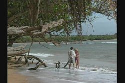 Captura de 'Hawaii' nº 34