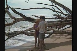 Captura de 'Hawaii' nº 35