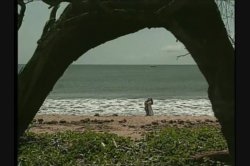 Captura de 'Hawaii' nº 55