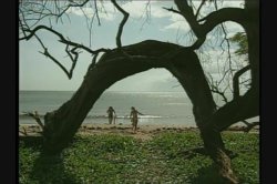 Captura de 'Hawaii' nº 60
