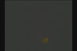 Captura de 'Hawaii' nº 67