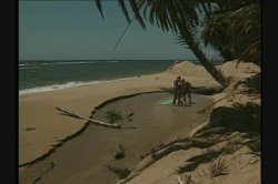 Captura de 'Hawaii' nº 88