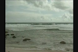 Captura de 'Hawaii' nº 123