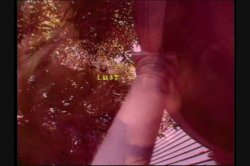 Captura de 'House of 7 Sins' nº 1