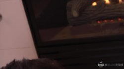 'College Guys Going Bi' screenshot nº 126