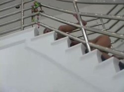 Captura de 'It's Raining Tushy Girls' nº 46