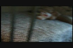 Captura de 'Seymore Butts' The Gapes of Wrath' nº 36