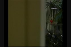 Captura de 'Nina Hartley's Guide To Alternative Sex' nº 62